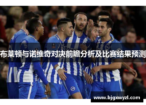 布莱顿与诺维奇对决前瞻分析及比赛结果预测